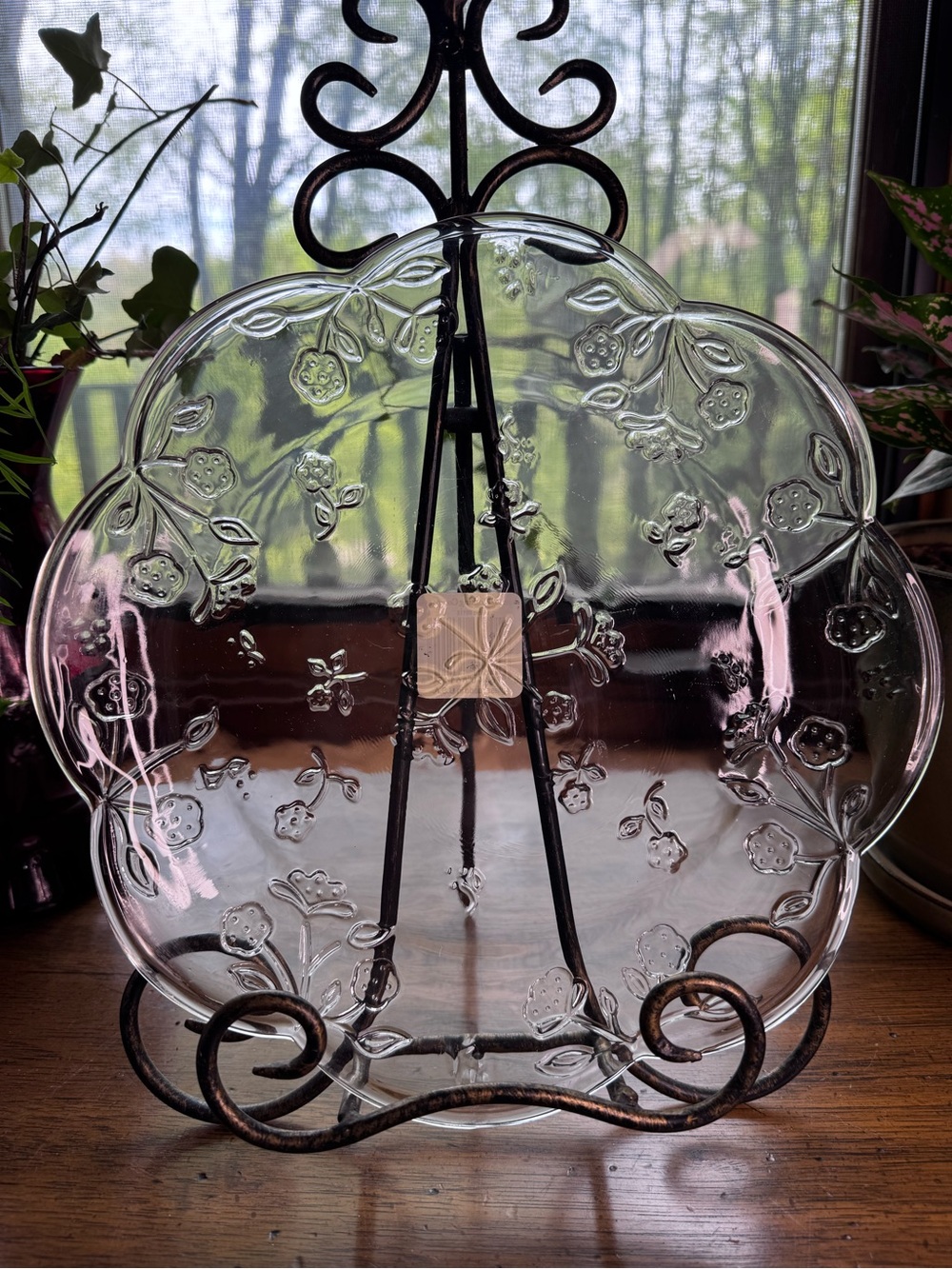 Anchor Hocking Fantasia Clear Embossed Floral Glass Plate Set Of 4